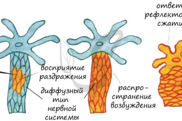 Заказать даркнет