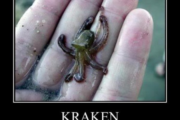 Kraken mega