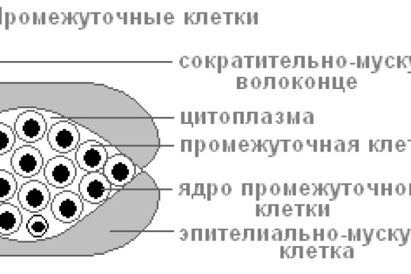 Рабочая ссылка на кракен