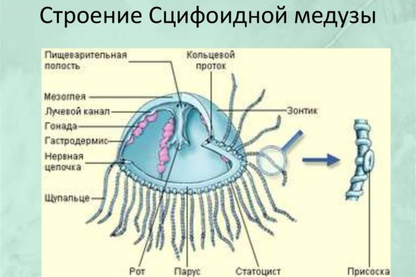 Кракен сайт бошки